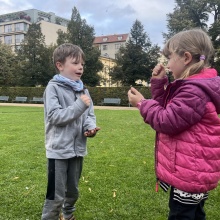 [Malý Vpřed] Schůzky a čaje