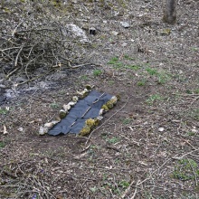 [Malý vpřed] Výprava s rodiči